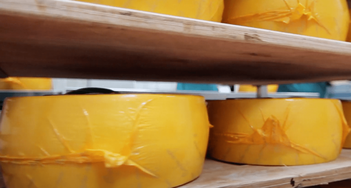 AtlantiumWebsiteMarkets_DairySliderImage2-1200x644